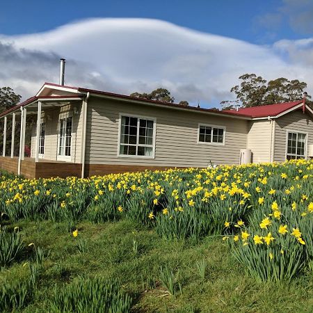 Mountain Blue Guest House Deloraine Esterno foto