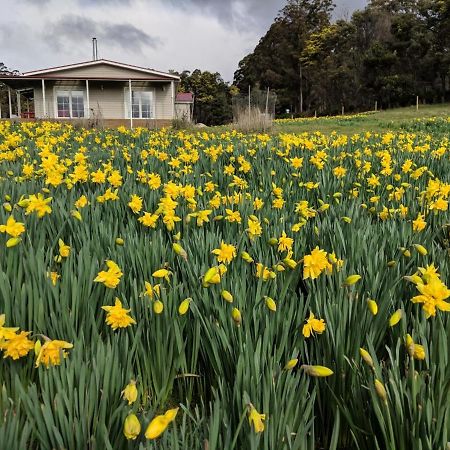 Mountain Blue Guest House Deloraine Esterno foto