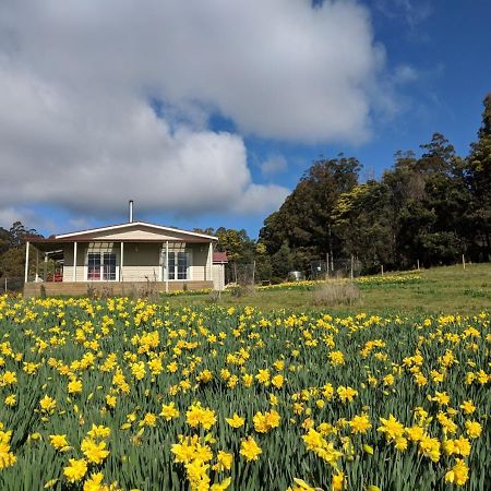 Mountain Blue Guest House Deloraine Esterno foto