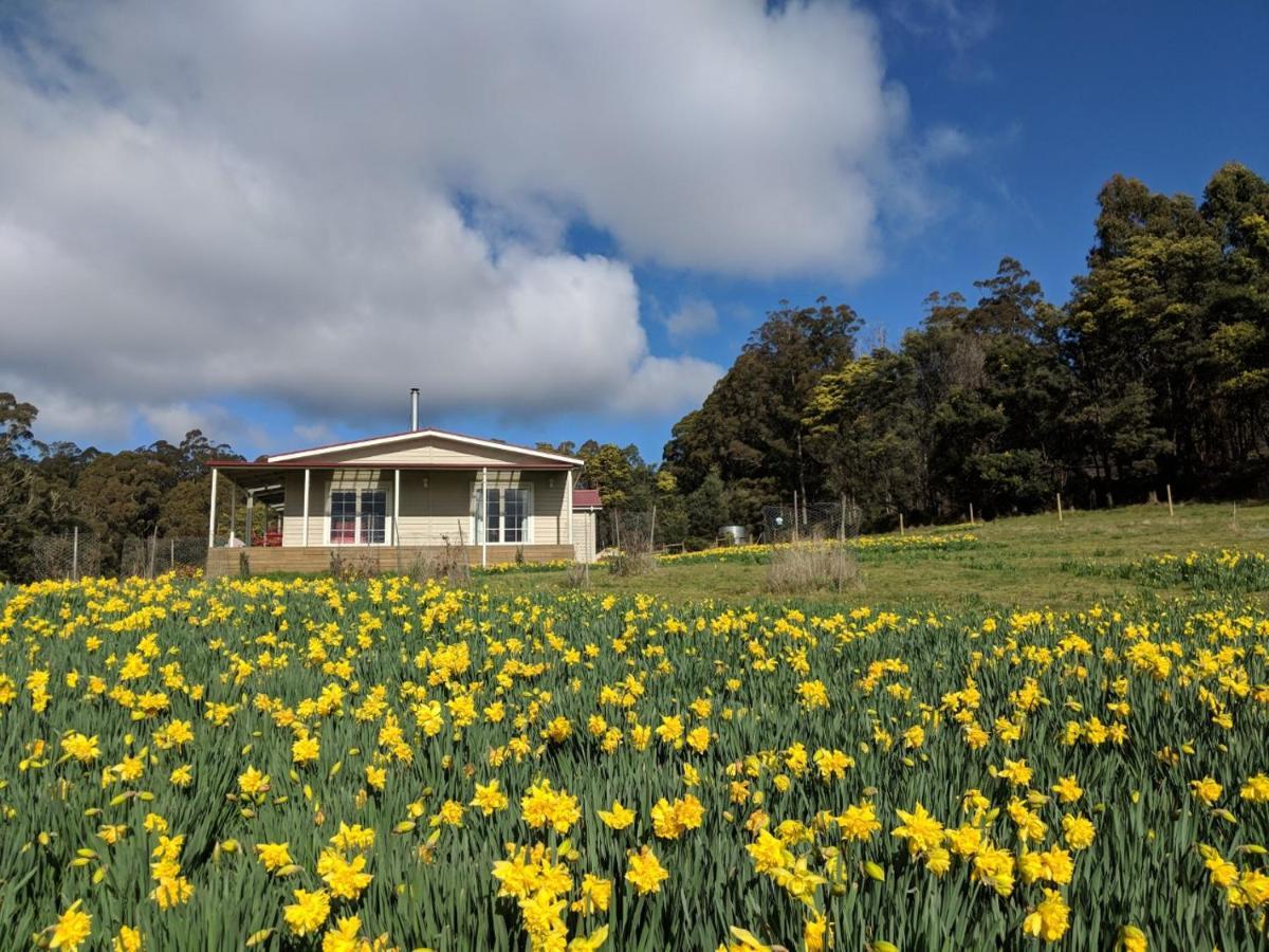 Mountain Blue Guest House Deloraine Esterno foto
